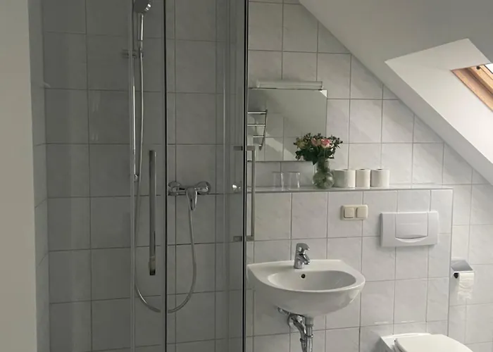Hotel-gasthof Gruener Hof 3* פרייזינג