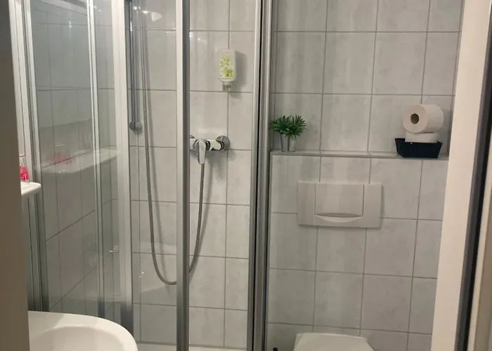 אורחן Hotel-gasthof Gruener Hof פרייזינג