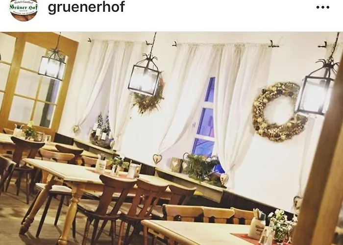 Hotel-gasthof Gruener Hof 3*