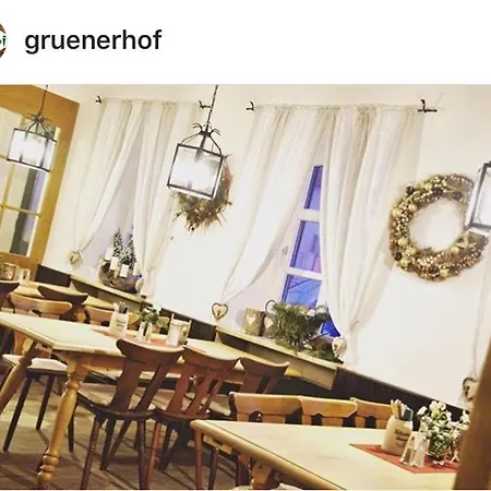 Hotel-gasthof Gruener Hof 3*
