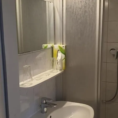 Inn Hotel-gasthof Gruener Hof 3*