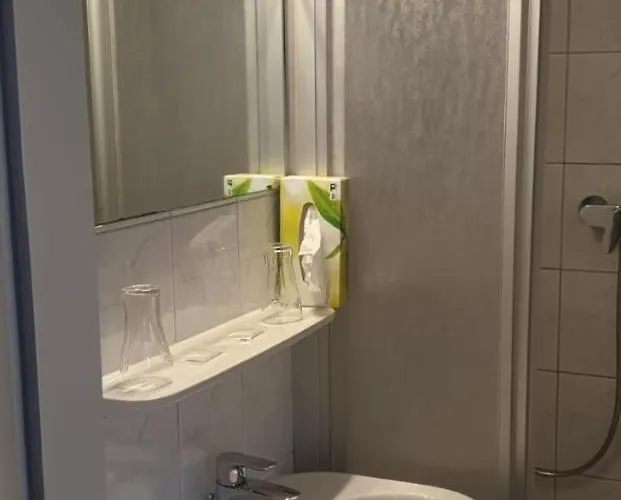 Πανδοχείο Hotel-gasthof Gruener Hof 3*